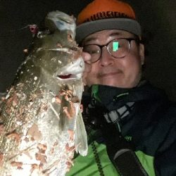 バチ抜けシーバス