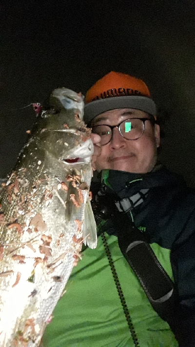 バチ抜けシーバス