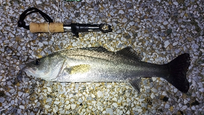 何して食べようかな〜？