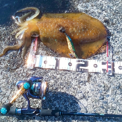 春を迎えられた