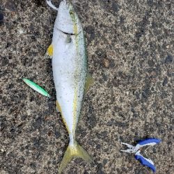 潮目を狙ってライトショアジギ!