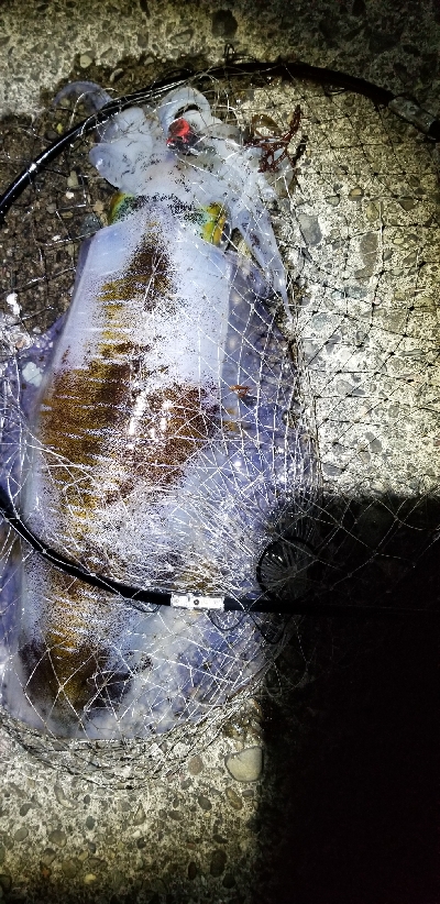 春風以外に3杯　御坊のポテンシャル