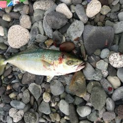 ショアジギング