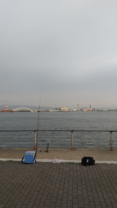 今年はタコがエエかも？