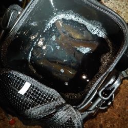 久々のツレと釣行