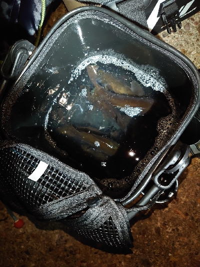 久々のツレと釣行