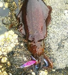 キロアップ連発