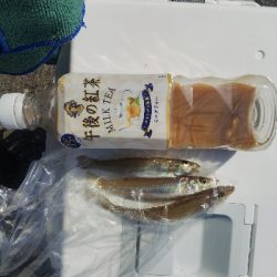 大塩海岸のキス釣り