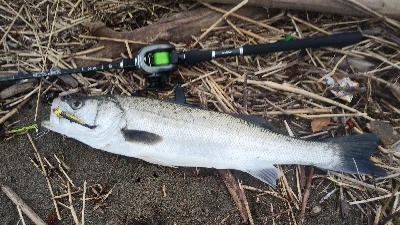 Vj丸呑みだったが…