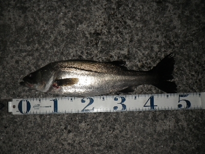 三密を避けて～