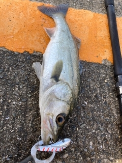 色々試して･・