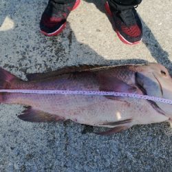 かぶせつりにて