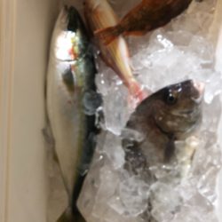 ジギング、タイラバ