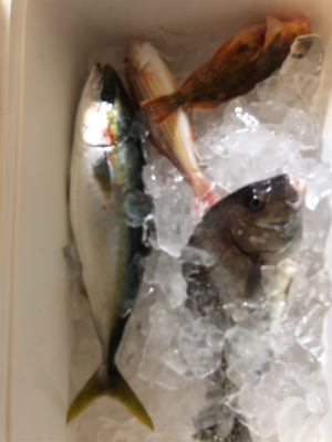 ジギング、タイラバ