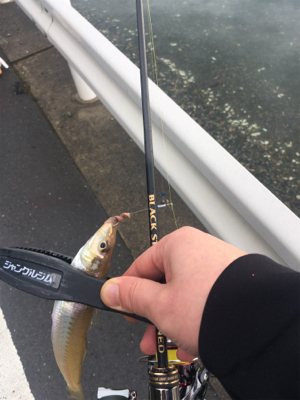 ゴールデンウィーク