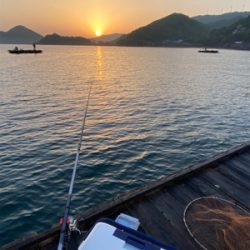 アオリイカのはずが…