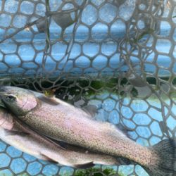 栃木市総合運動公園フィッシングフィールド