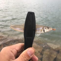 爆風のキスちょい投げ