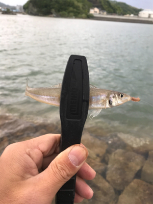 爆風のキスちょい投げ