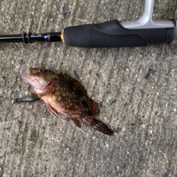 爆風でもなんとか探り釣り