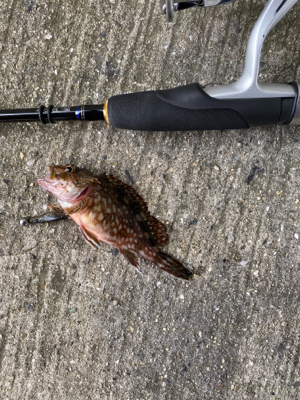 爆風でもなんとか探り釣り