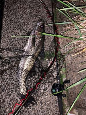 ナイトのハクパターン！