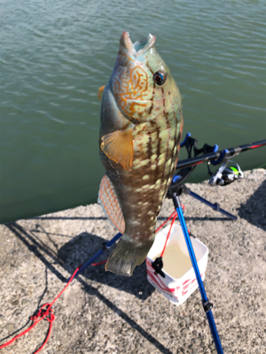 久しぶり行ってきました。