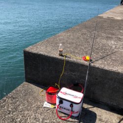 ちょい投げでキス釣り