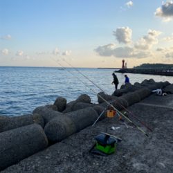 カレイ釣り、キス釣り