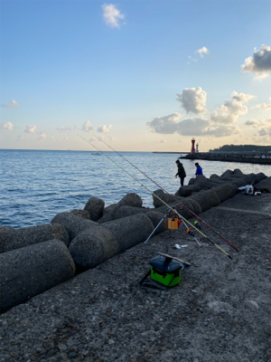 カレイ釣り、キス釣り