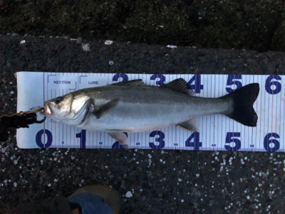 まあまあサイズ