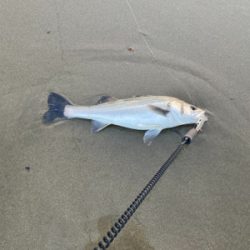 満足な釣行でした。