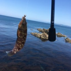 GW淡路島釣行❗️