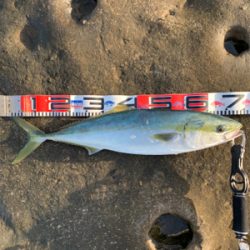 ロックショアで！