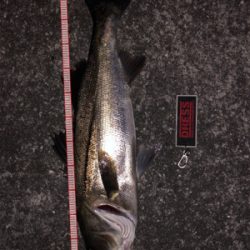 バチパターンで爆釣！