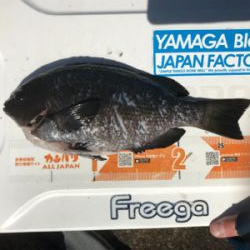 阿多田島初ポイントフカセ