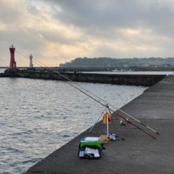 カレイ、キス、五目釣り