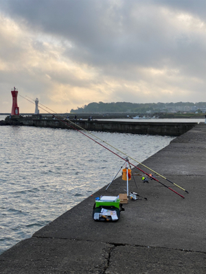 カレイ、キス、五目釣り