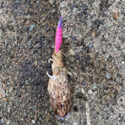 GW初日のリベンジマッチ!