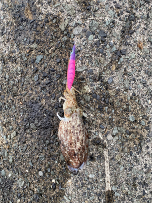 GW初日のリベンジマッチ!