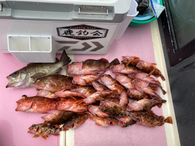 久里浜　山下丸　カサゴ