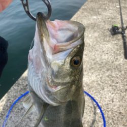 マイクロパターン