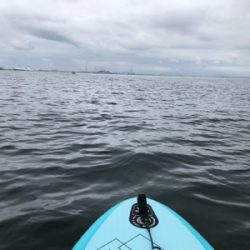 初supフィッシング