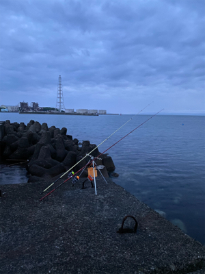 久しぶりの白灯で、キス釣り