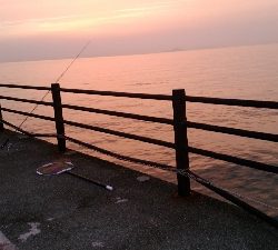 鉄板バイブでスズキ68cm