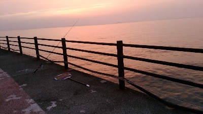 鉄板バイブでスズキ68cm