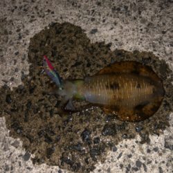 仕事終わりに・・・