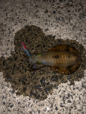 仕事終わりに・・・