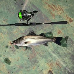 いいタイミング