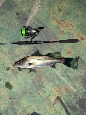 いいタイミング